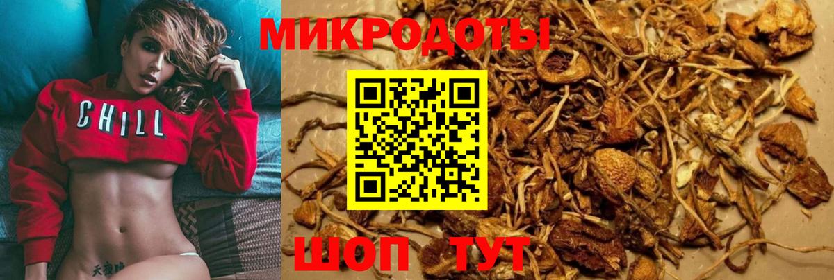 Кызыл  Галлюциногенные грибы прущие грибы  Галлюциногенные грибы Psilocybe  Вход с VPN 